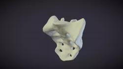 SACRIX