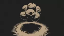 Seed