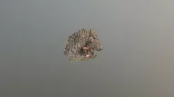 Shroom Reduced