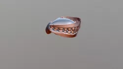 Teeth