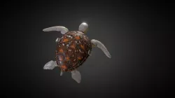 TL34 - Robotic Turtle with Organic Shell