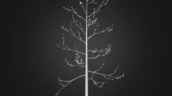 Tree 4