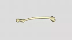 UD3 Femur (1)