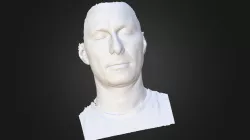 3D Scanned Face