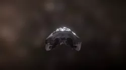 Alligator Skull