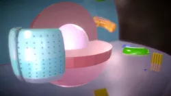Animal Cell