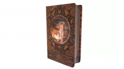 Antique old book