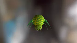 Arañita