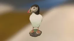 Atlantic Puffin - Low poly