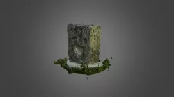 Bear Print Carving