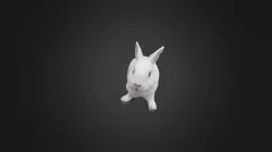 Bobo