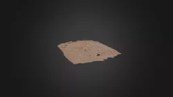 Burrowing Bettong Warren 1