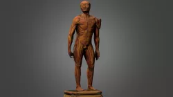 Cambridge UL Medical Figure c.AD1590 HiRes