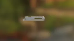 Case