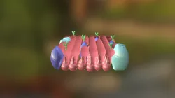 Cell Membrane