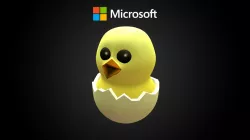 Chick In Egg
