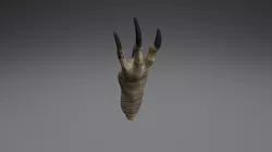 Chicken Claw