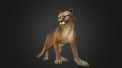 Cougar