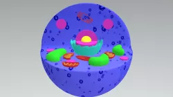 Célula