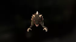 Dire Rat