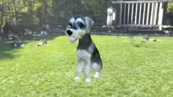 Dog 19 Wrl