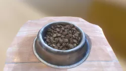Dog Feed Capture