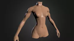 Female Body WIP