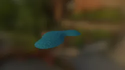 gota