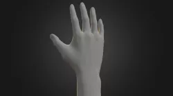 Hand mk2