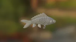Koi Fish