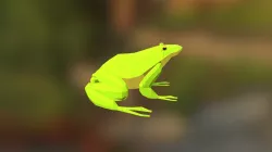 Low poly frog