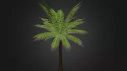 Lowpoly Palmtrees