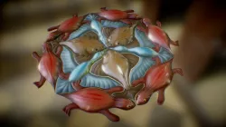 MC Escher Fish/Duck/Lizard 3 Creatures 3D array