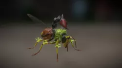 (new) Wasp Mutant - Hive Wars video game