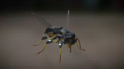(new) Wasp Tech - Hive Wars video game