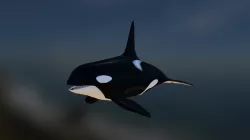 Orca