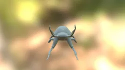 Rainbow Stag Beetle Fixed