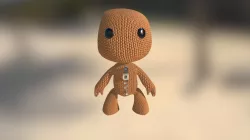 Sackboy Character