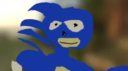 Sanic Model