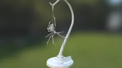 The Brass Widow Display