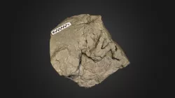 Therizinosaur footprint