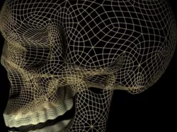 3D skull