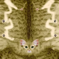 Animated Kitten 3D model