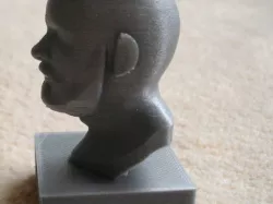 Bearded Man