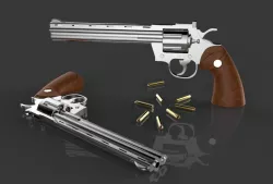 Colt Python