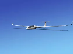 DG-1000 Glider Bare Metal 3D model
