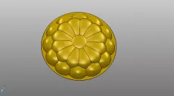dish