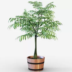 Houseplant 3D model