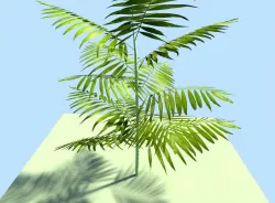 ju ngle plant 3D model