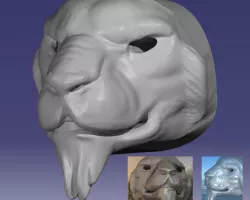 Lion face